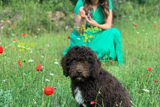 Maakt mooi weer gelukkig?